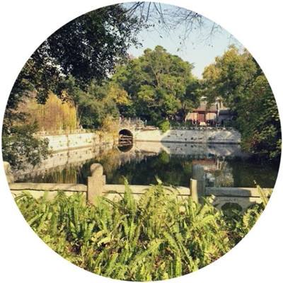 修仙传说变态版下载